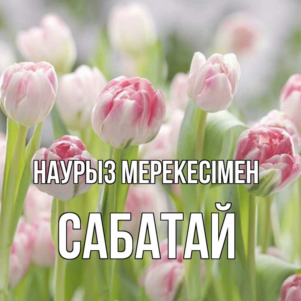 Күн сайын ашық хат с именем, САБАТАЙ Наурыз мерекесімен цветы Онлайн тегін жүктеп алу тілектері бар керемет карта 