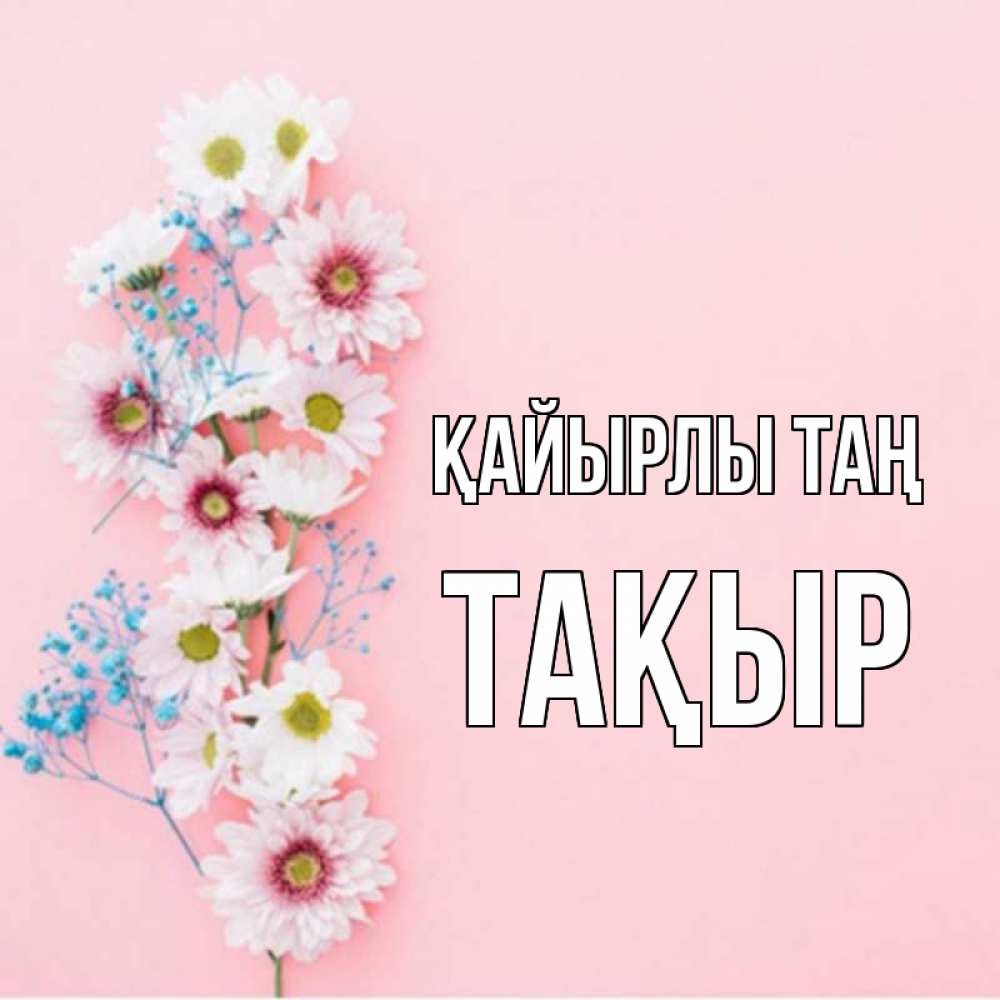 Күн сайын ашық хат с именем, ТАҚЫР Қайырлы таң цветы с подписью Онлайн тегін жүктеп алу тілектері бар керемет карта 