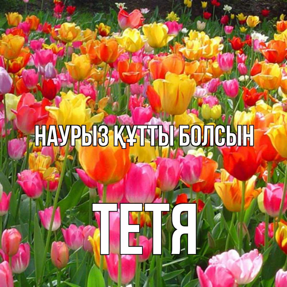 Күн сайын ашық хат с именем, Тетя Наурыз құтты болсын на наурыз  ура ура Онлайн тегін жүктеп алу тілектері бар керемет карта 