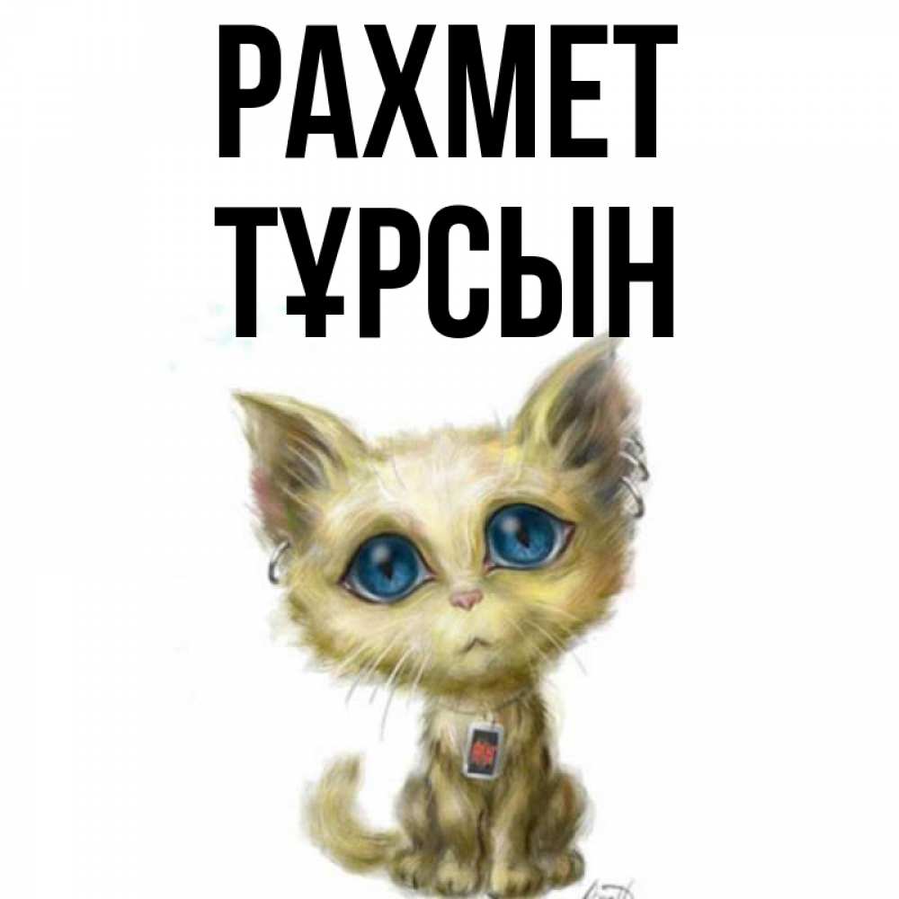 Күн сайын ашық хат с именем, ТҰРСЫН рахмет рисованный кот благодарит вас Онлайн тегін жүктеп алу тілектері бар керемет карта 