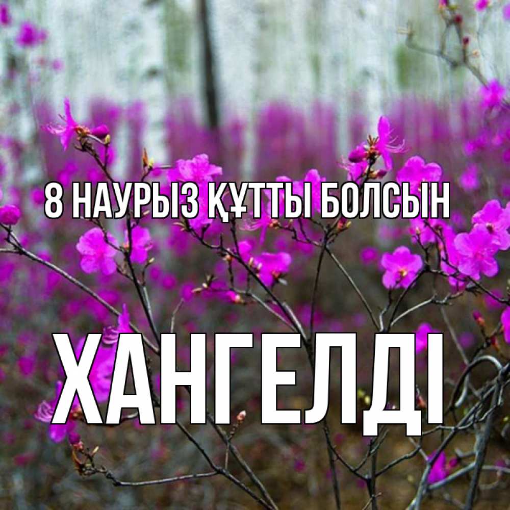 Күн сайын ашық хат с именем, ХАНГЕЛДІ 8 наурыз құтты болсын дикие цветы Онлайн тегін жүктеп алу тілектері бар керемет карта 