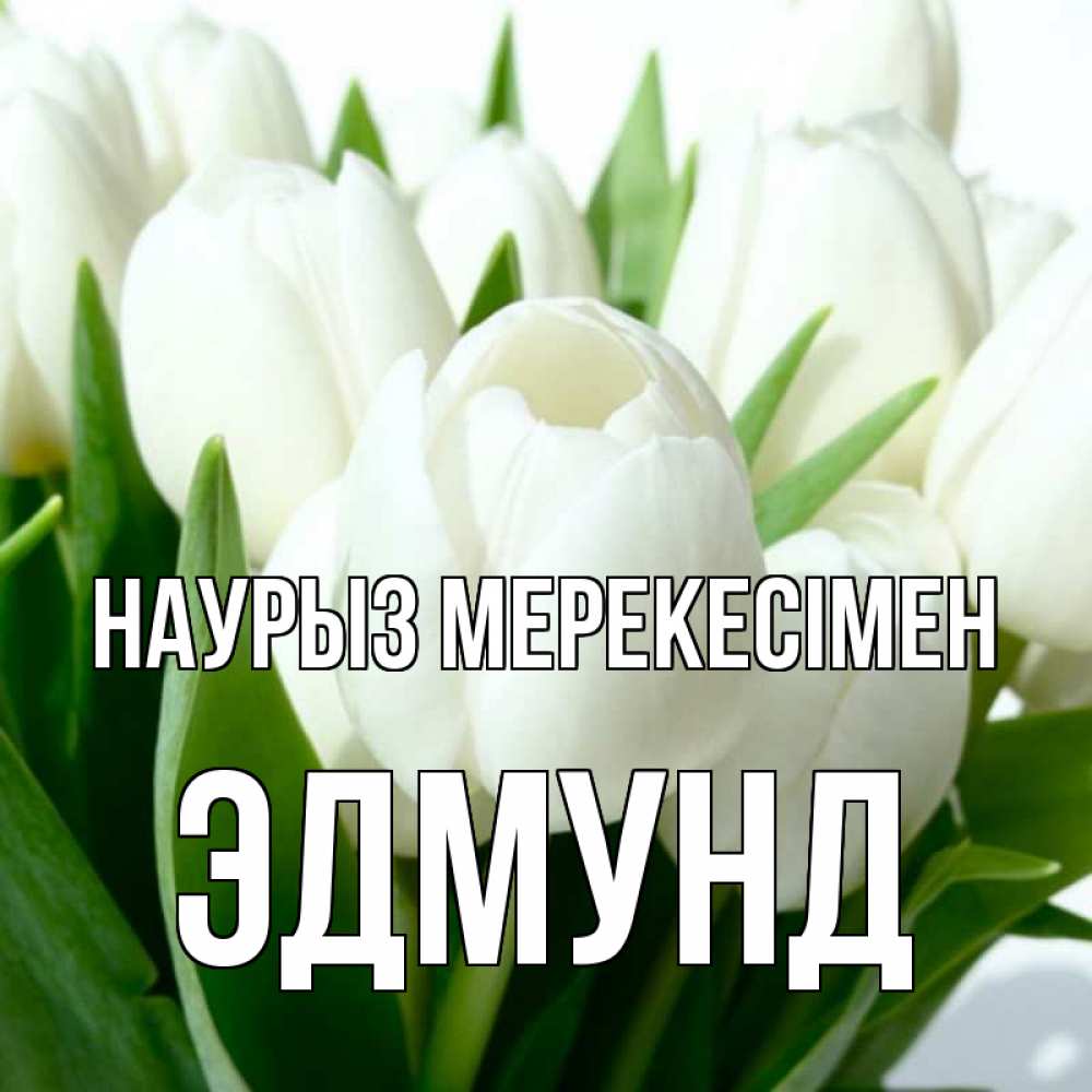 Күн сайын ашық хат с именем, Эдмунд Наурыз мерекесімен цветы Онлайн тегін жүктеп алу тілектері бар керемет карта 