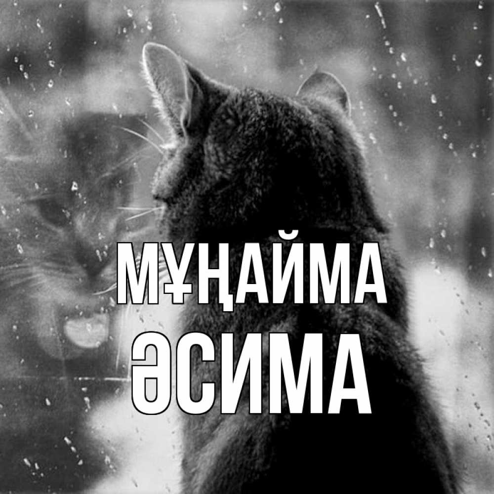 Күн сайын ашық хат с именем, ӘСИМА Мұңайма отражение кота 1 Онлайн тегін жүктеп алу тілектері бар керемет карта 