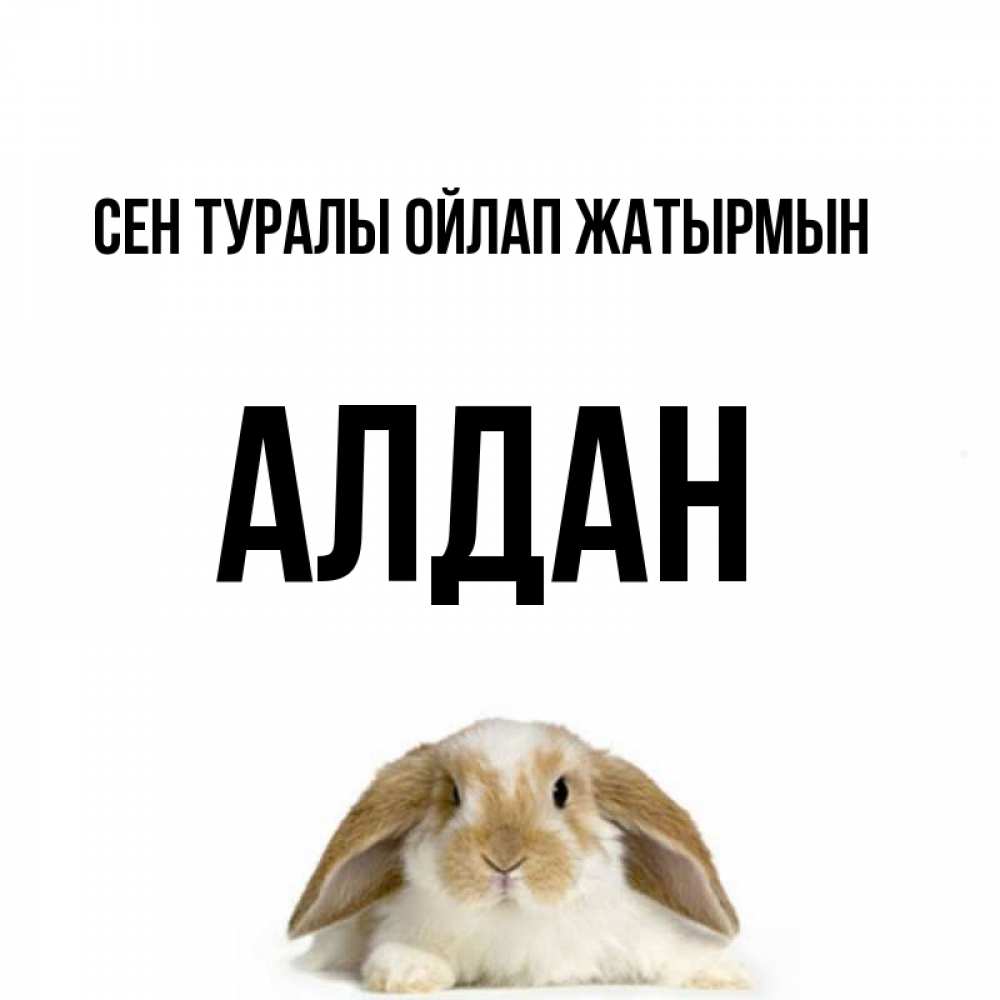 Күн сайын ашық хат с именем, Алдан Сен туралы ойлап жатырмын подписать своими руками онлайн Онлайн тегін жүктеп алу тілектері бар керемет карта 