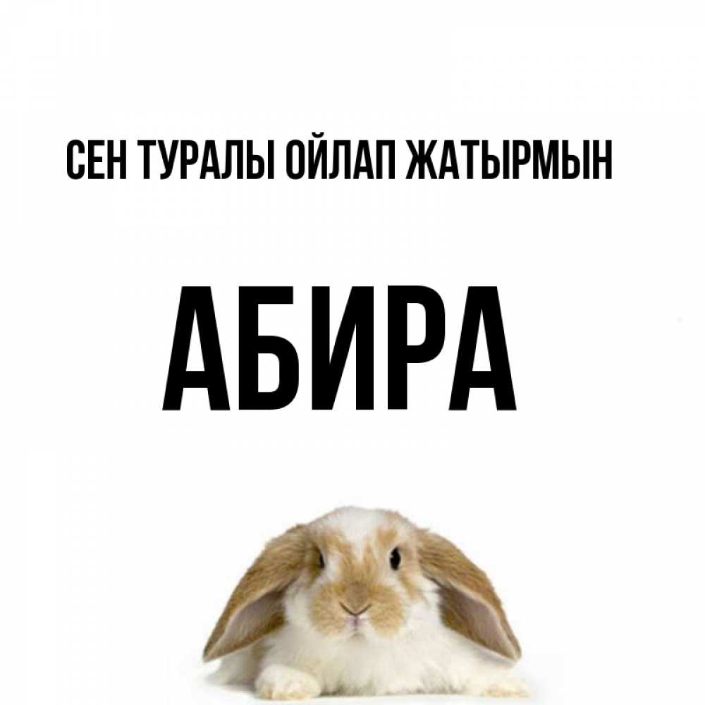 Күн сайын ашық хат с именем, АБИРА Сен туралы ойлап жатырмын подписать своими руками онлайн Онлайн тегін жүктеп алу тілектері бар керемет карта 