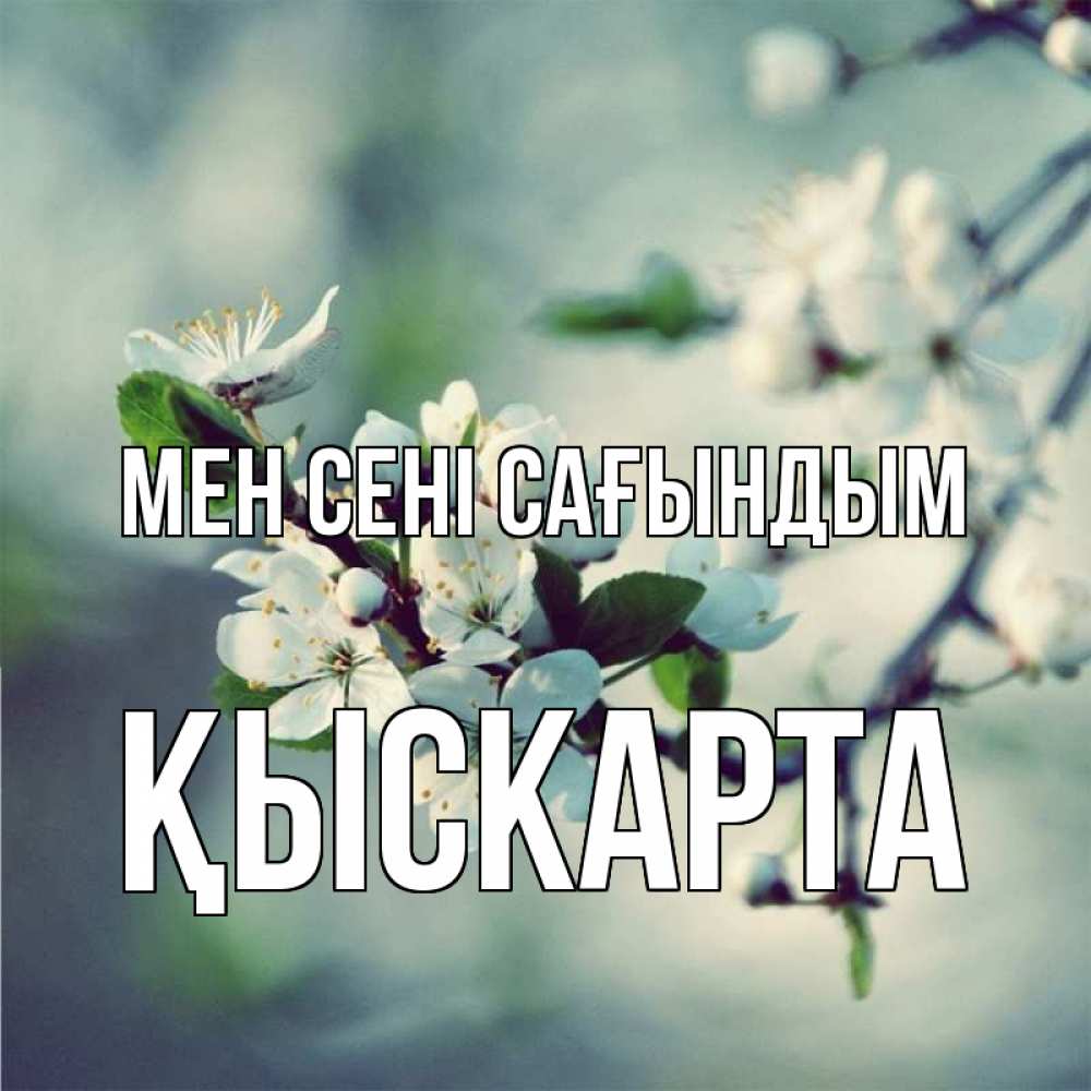 Күн сайын ашық хат с именем, Қыскарта Мен сені сағындым весна Онлайн тегін жүктеп алу тілектері бар керемет карта 