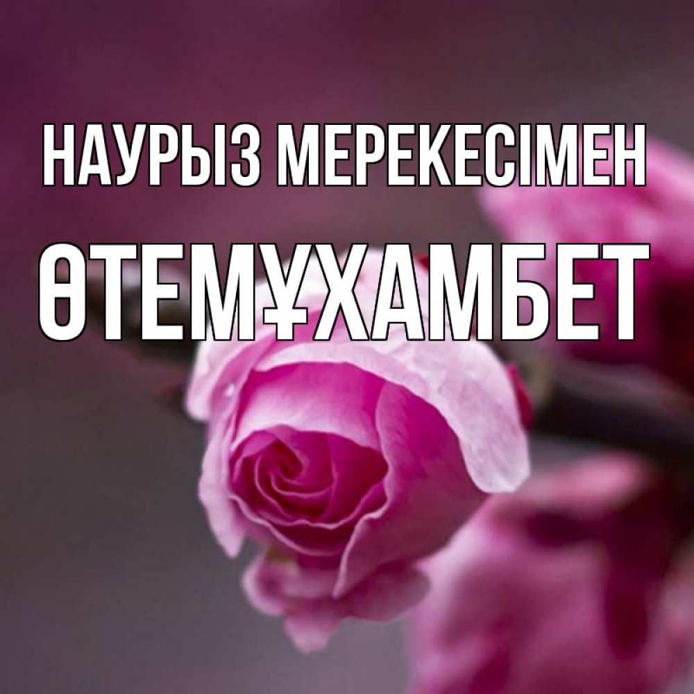 Күн сайын ашық хат с именем, ӨТЕМҰХАМБЕТ Наурыз мерекесімен весна Онлайн тегін жүктеп алу тілектері бар керемет карта 