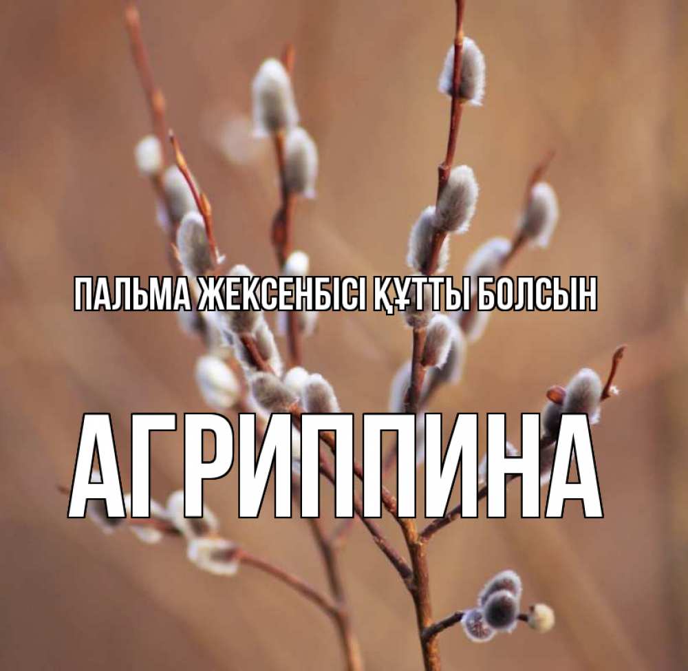 Күн сайын ашық хат с именем, Агриппина Пальма жексенбісі құтты болсын верба Онлайн тегін жүктеп алу тілектері бар керемет карта 