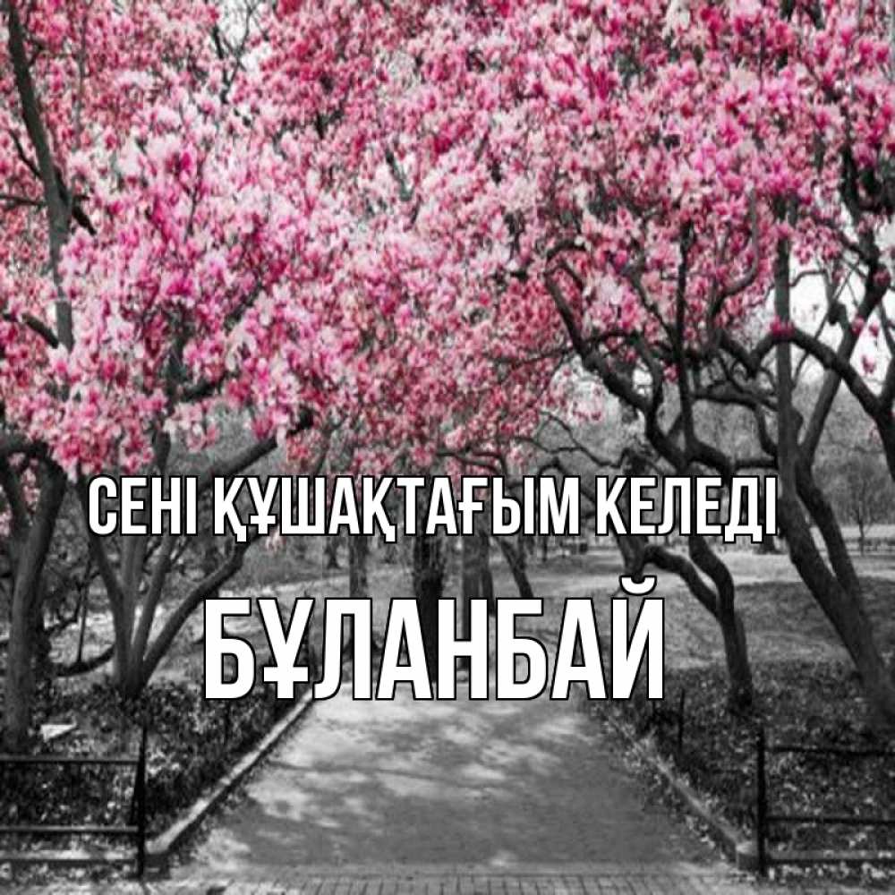 Күн сайын ашық хат с именем, Бұланбай сені құшақтағым келеді обработанное фото Онлайн тегін жүктеп алу тілектері бар керемет карта 