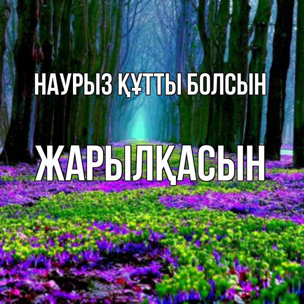 Күн сайын ашық хат с именем, Жарылқасын Наурыз құтты болсын фиолетовые цветы в лесу 1 Онлайн тегін жүктеп алу тілектері бар керемет карта 