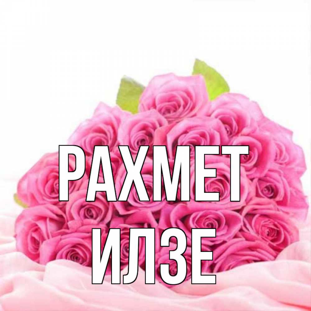 Күн сайын ашық хат с именем, Илзе рахмет розовые розы с подписью Онлайн тегін жүктеп алу тілектері бар керемет карта 