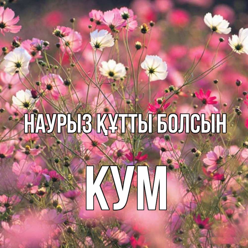 Күн сайын ашық хат с именем, Кум Наурыз құтты болсын красиво 1 Онлайн тегін жүктеп алу тілектері бар керемет карта 