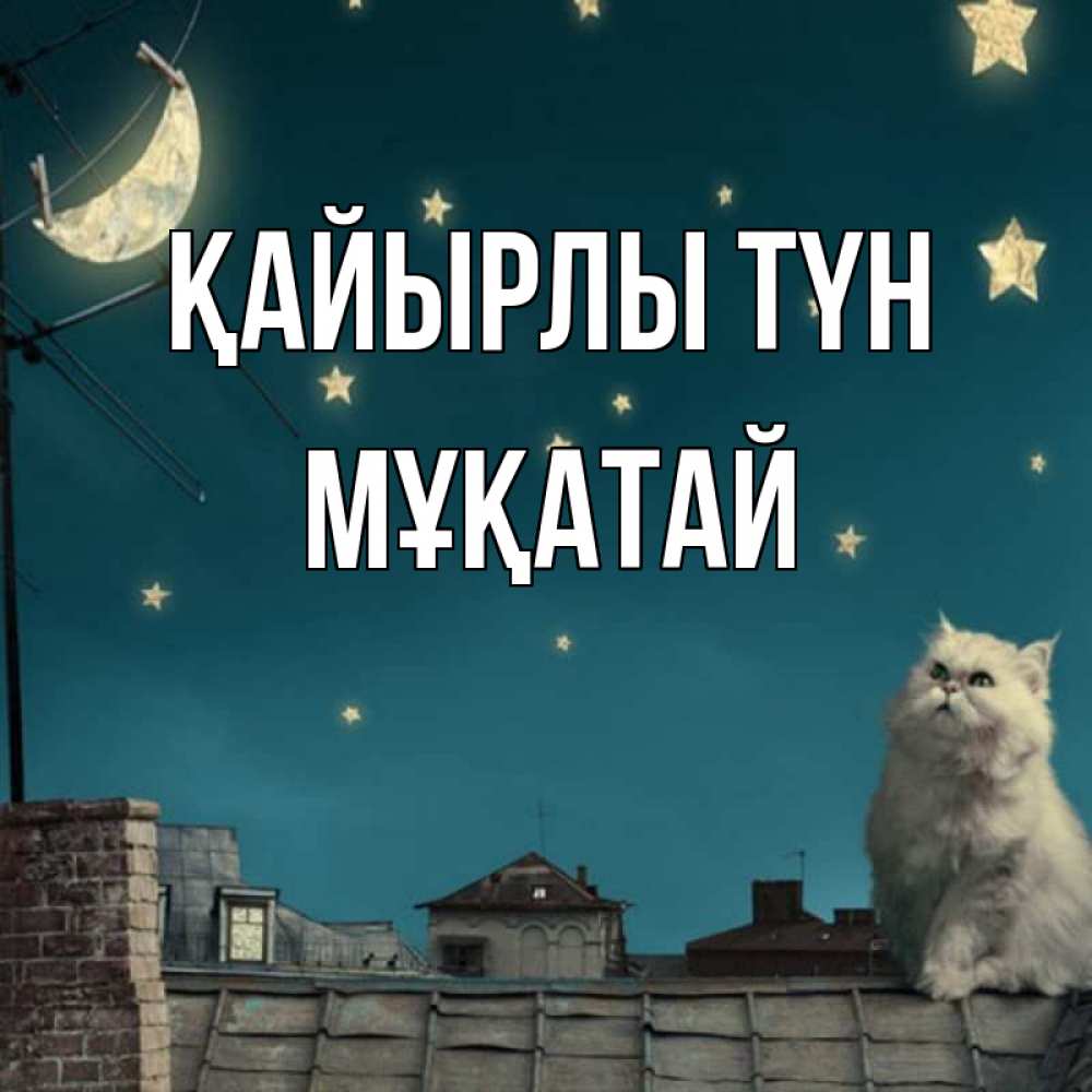 Күн сайын ашық хат с именем, Мұқатай Қайырлы түн белый кот сидит на крыше Онлайн тегін жүктеп алу тілектері бар керемет карта 