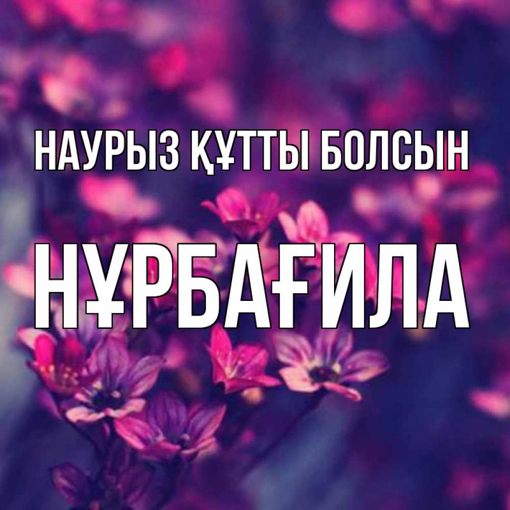 Күн сайын ашық хат с именем, НҰРБАҒИЛА Наурыз құтты болсын небольшие цветы 1 Онлайн тегін жүктеп алу тілектері бар керемет карта 