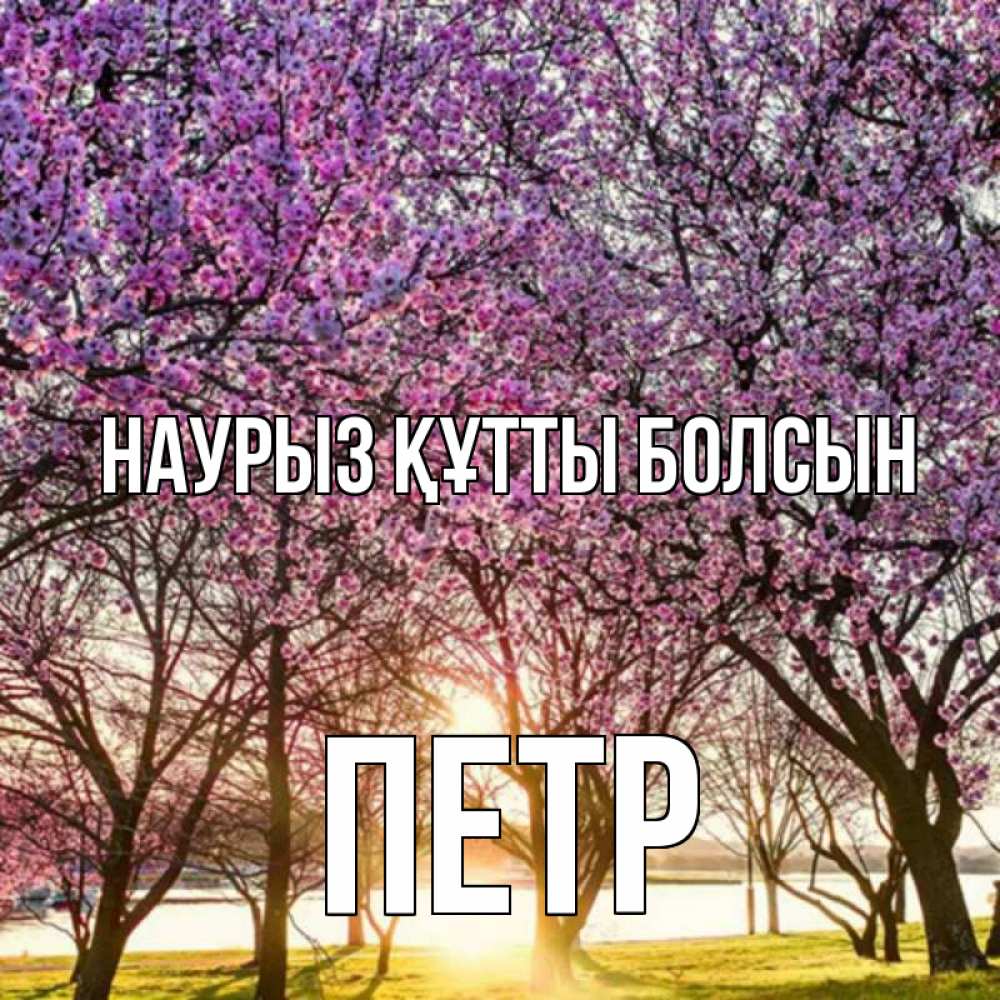 Күн сайын ашық хат с именем, Петр Наурыз құтты болсын наурыз Онлайн тегін жүктеп алу тілектері бар керемет карта 