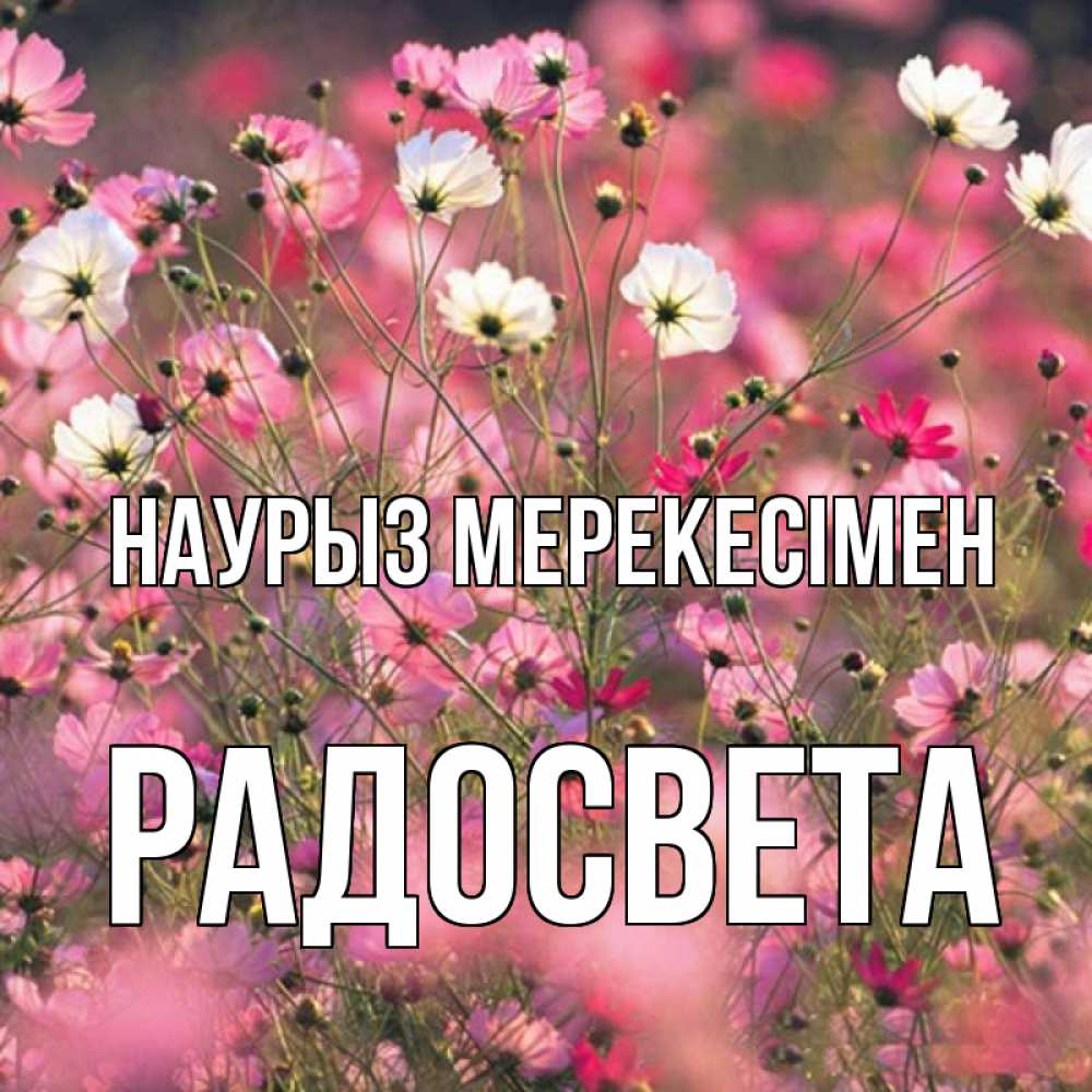 Күн сайын ашық хат с именем, Радосвета Наурыз мерекесімен красиво 1 Онлайн тегін жүктеп алу тілектері бар керемет карта 