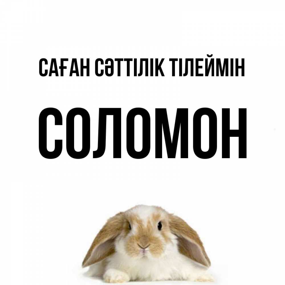 Күн сайын ашық хат с именем, Соломон Саған сәттілік тілеймін открытки с произвольным текстом который можно вставить в открытку и создать ее самостоятельно бесплатно онлайн Онлайн тегін жүктеп алу тілектері бар керемет карта 