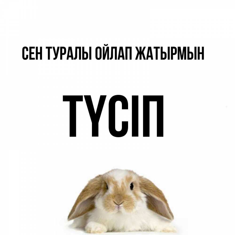 Күн сайын ашық хат с именем, ТҮСІП Сен туралы ойлап жатырмын подписать своими руками онлайн Онлайн тегін жүктеп алу тілектері бар керемет карта 