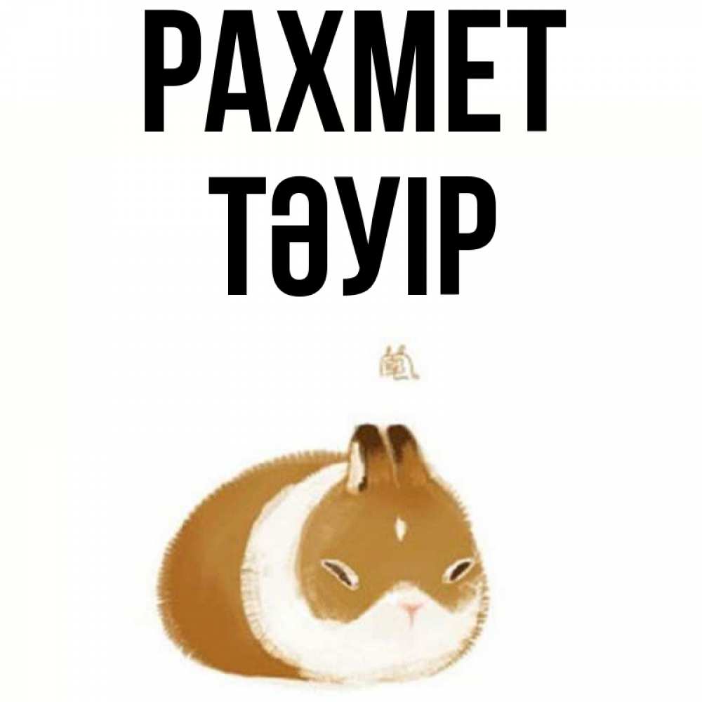 Күн сайын ашық хат с именем, ТӘУІР рахмет коричнево белый домашний питомец Онлайн тегін жүктеп алу тілектері бар керемет карта 
