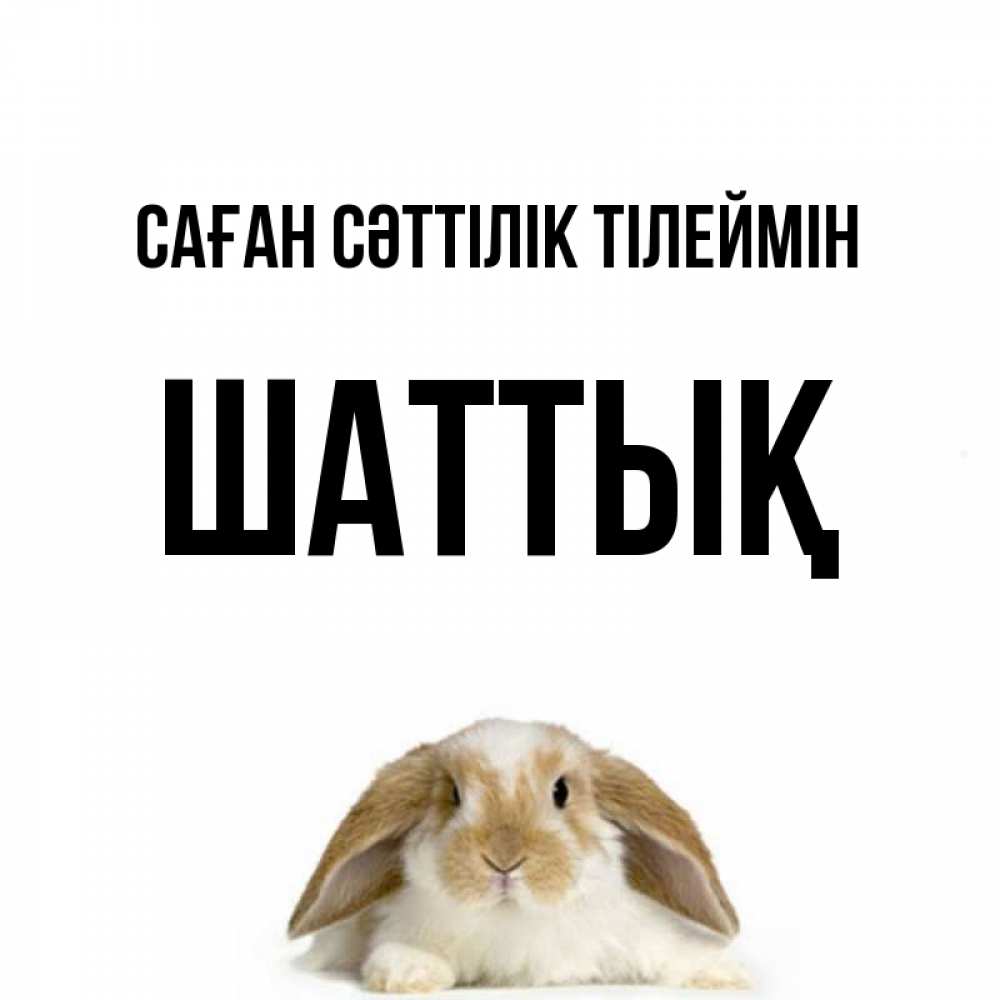Күн сайын ашық хат с именем, ШАТТЫҚ Саған сәттілік тілеймін открытки с произвольным текстом который можно вставить в открытку и создать ее самостоятельно бесплатно онлайн Онлайн тегін жүктеп алу тілектері бар керемет карта 