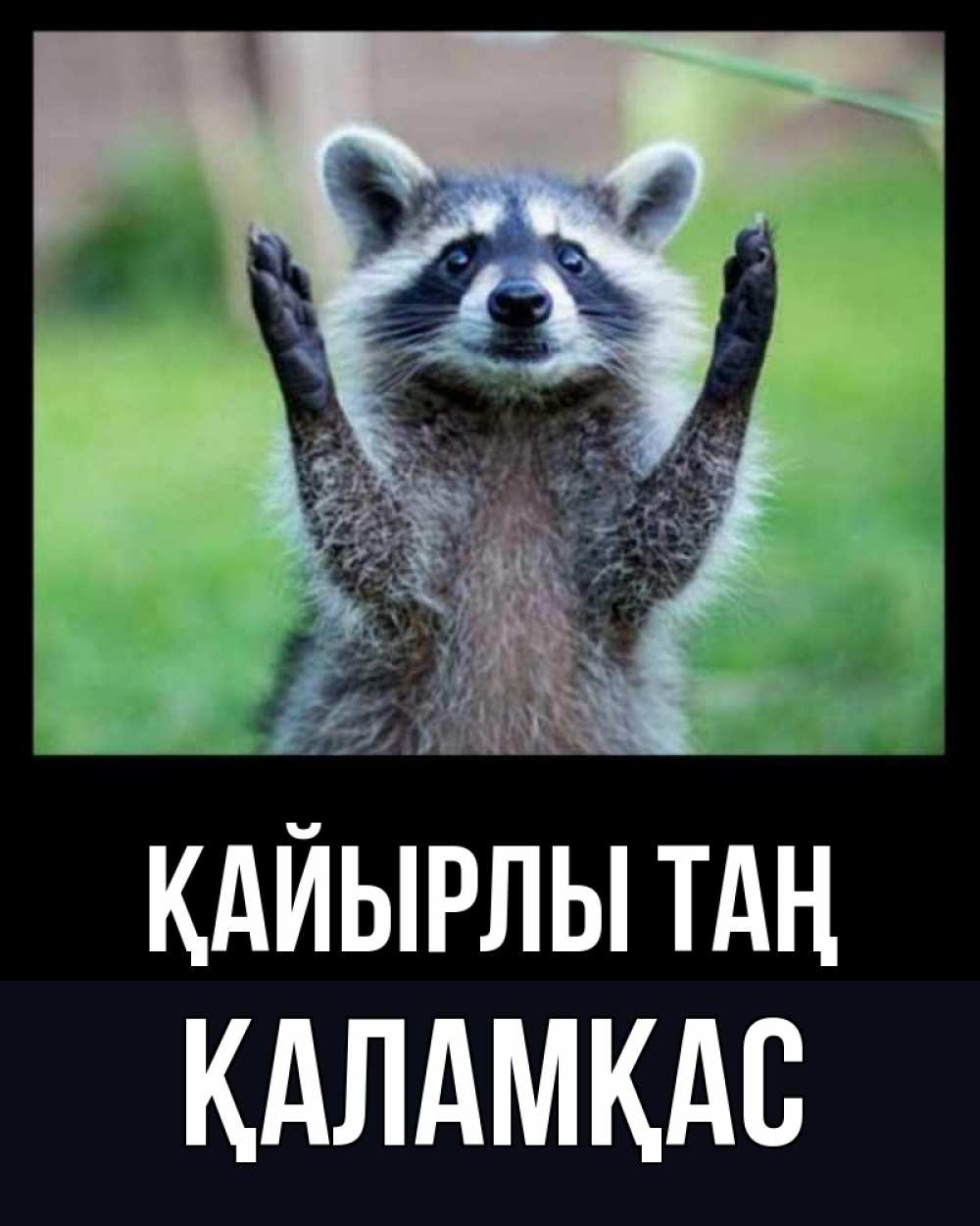 Күн сайын ашық хат с именем, ҚАЛАМҚАС Қайырлы таң хорошее настроение утречком Онлайн тегін жүктеп алу тілектері бар керемет карта 