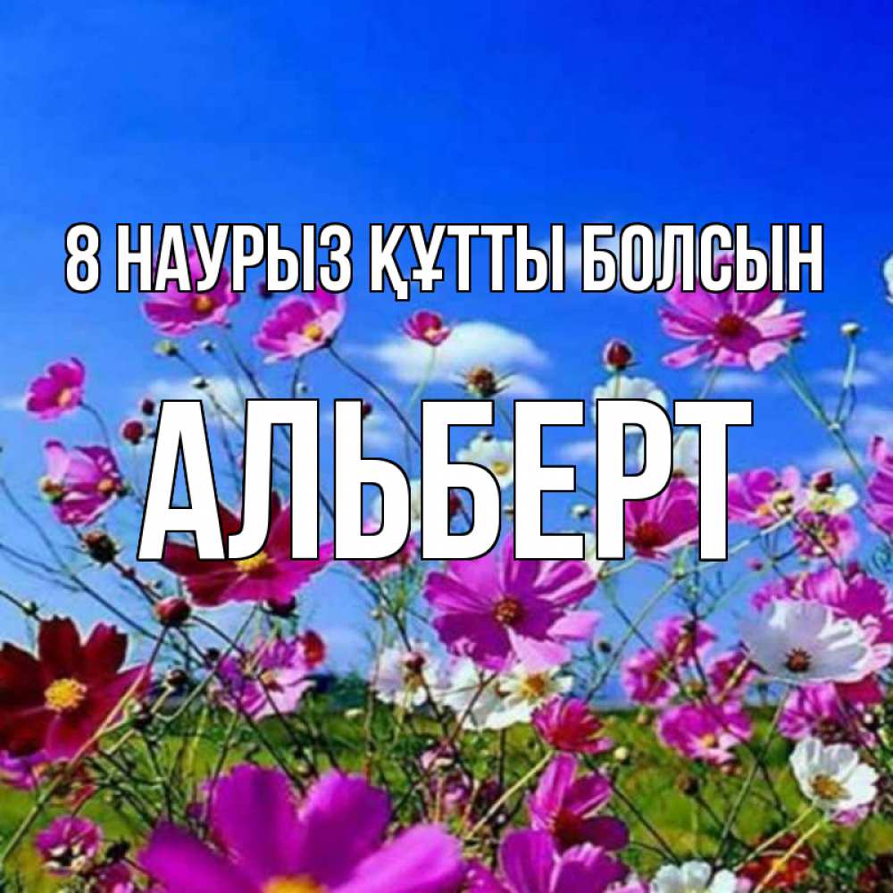 Күн сайын ашық хат с именем, Альберт 8 наурыз құтты болсын цветы Онлайн тегін жүктеп алу тілектері бар керемет карта 