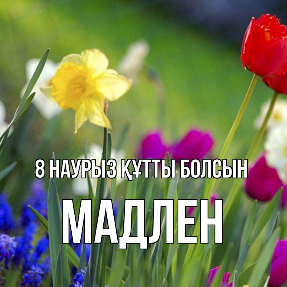 Күн сайын ашық хат с именем, Мадлен 8 наурыз құтты болсын международный женский день 3 Онлайн тегін жүктеп алу тілектері бар керемет карта 