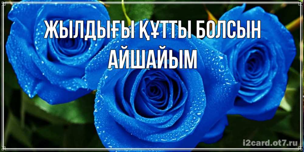 Күн сайын ашық хат с именем, АЙШАЙЫМ Жылдығы құтты болсын розы с синим цветом Онлайн тегін жүктеп алу тілектері бар керемет карта 