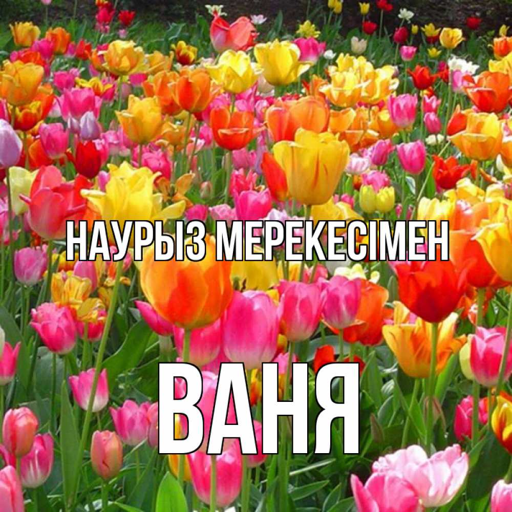 Күн сайын ашық хат с именем, Ваня Наурыз мерекесімен праздник весны наурыз 4 Онлайн тегін жүктеп алу тілектері бар керемет карта 