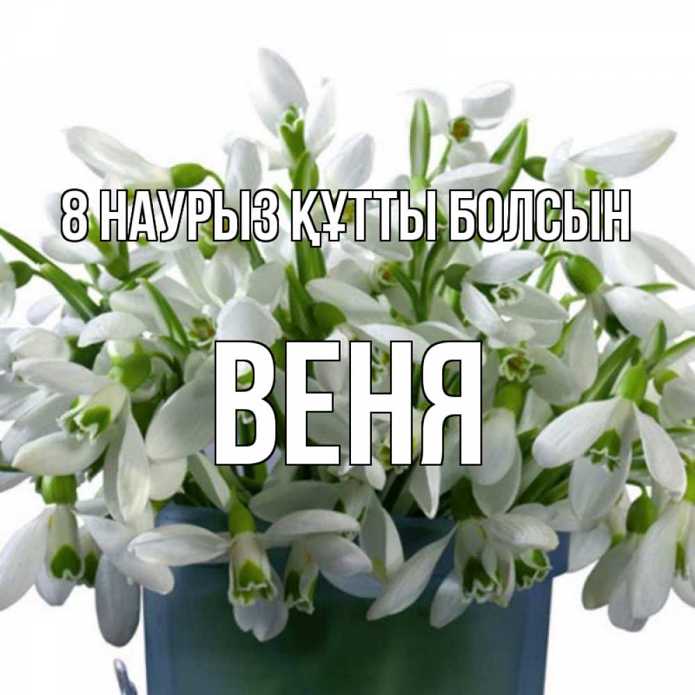 Күн сайын ашық хат с именем, Веня 8 наурыз құтты болсын цветы к международному женскому дню Онлайн тегін жүктеп алу тілектері бар керемет карта 