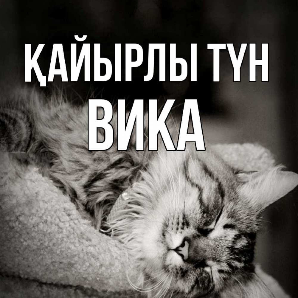Күн сайын ашық хат с именем, Вика Қайырлы түн котярик пушистый Онлайн тегін жүктеп алу тілектері бар керемет карта 