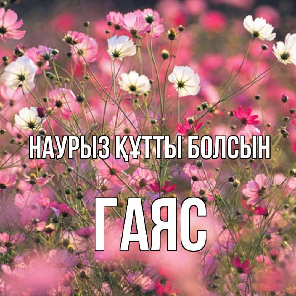 Күн сайын ашық хат с именем, Гаяс Наурыз құтты болсын красиво 1 Онлайн тегін жүктеп алу тілектері бар керемет карта 