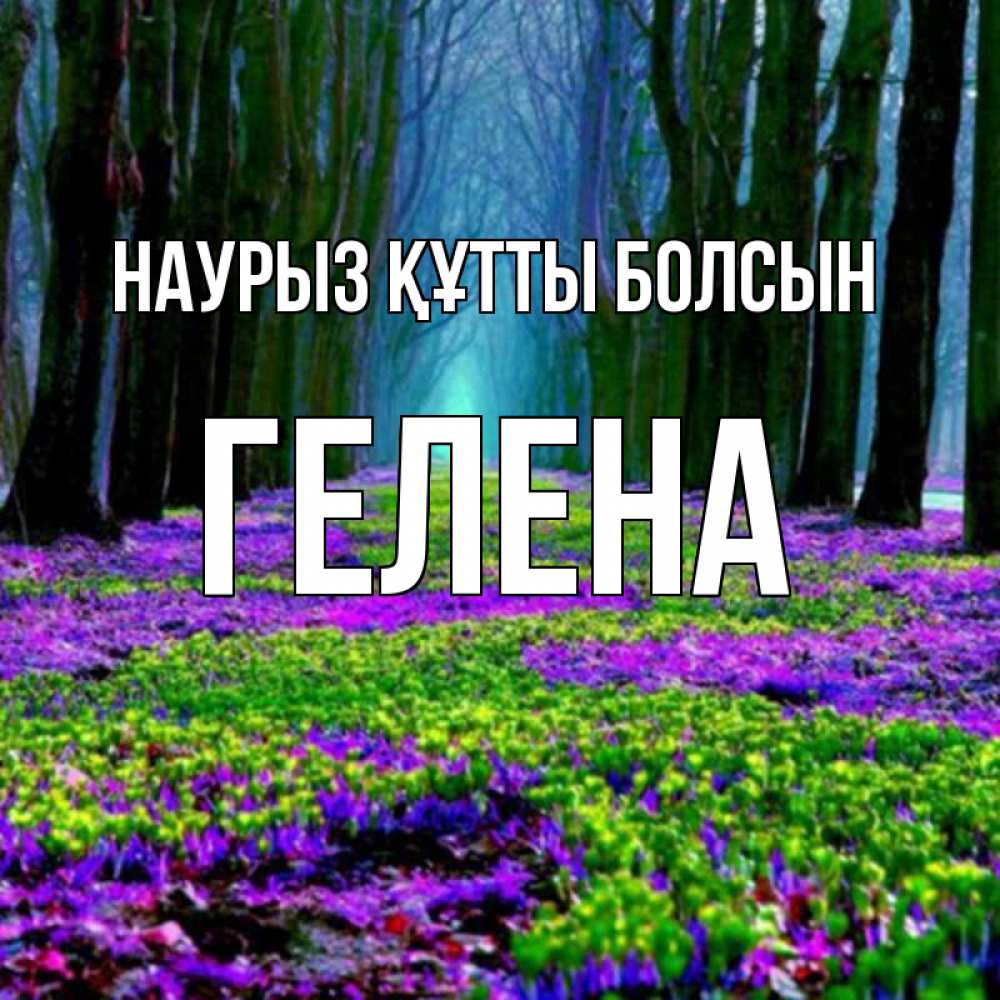 Күн сайын ашық хат с именем, Гелена Наурыз құтты болсын фиолетовые цветы в лесу 1 Онлайн тегін жүктеп алу тілектері бар керемет карта 