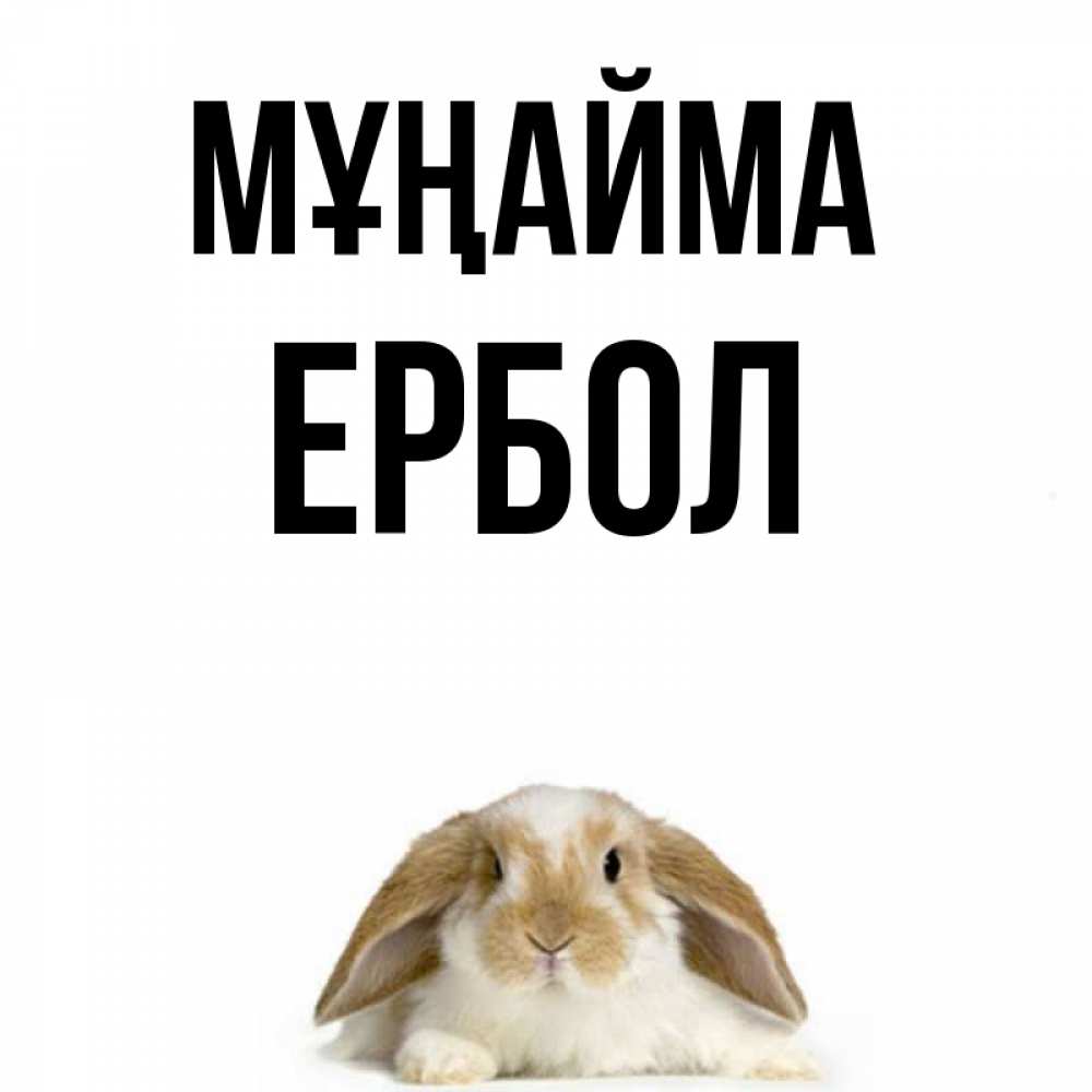 Күн сайын ашық хат с именем, Ербол Мұңайма коричнево белый заяц с большими ушками Онлайн тегін жүктеп алу тілектері бар керемет карта 