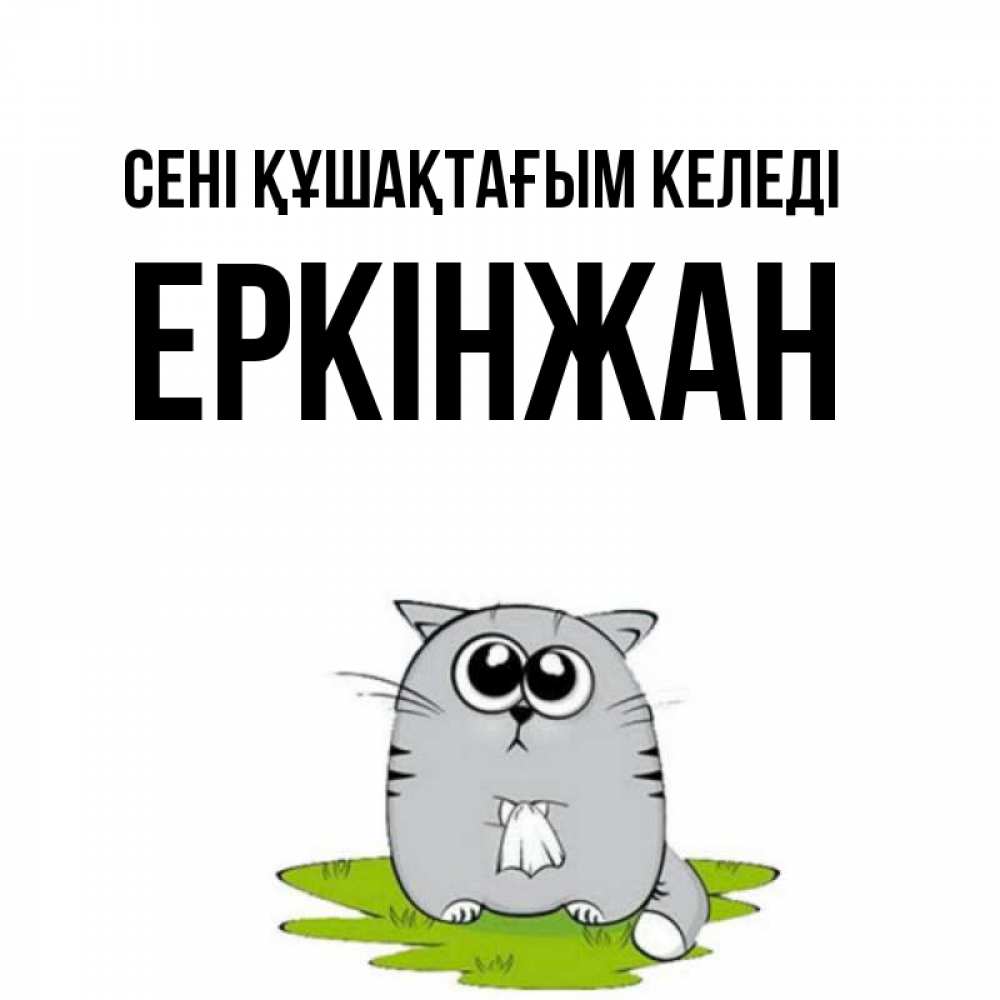 Күн сайын ашық хат с именем, Еркінжан сені құшақтағым келеді котик теребит платочек сидя на травке Онлайн тегін жүктеп алу тілектері бар керемет карта 