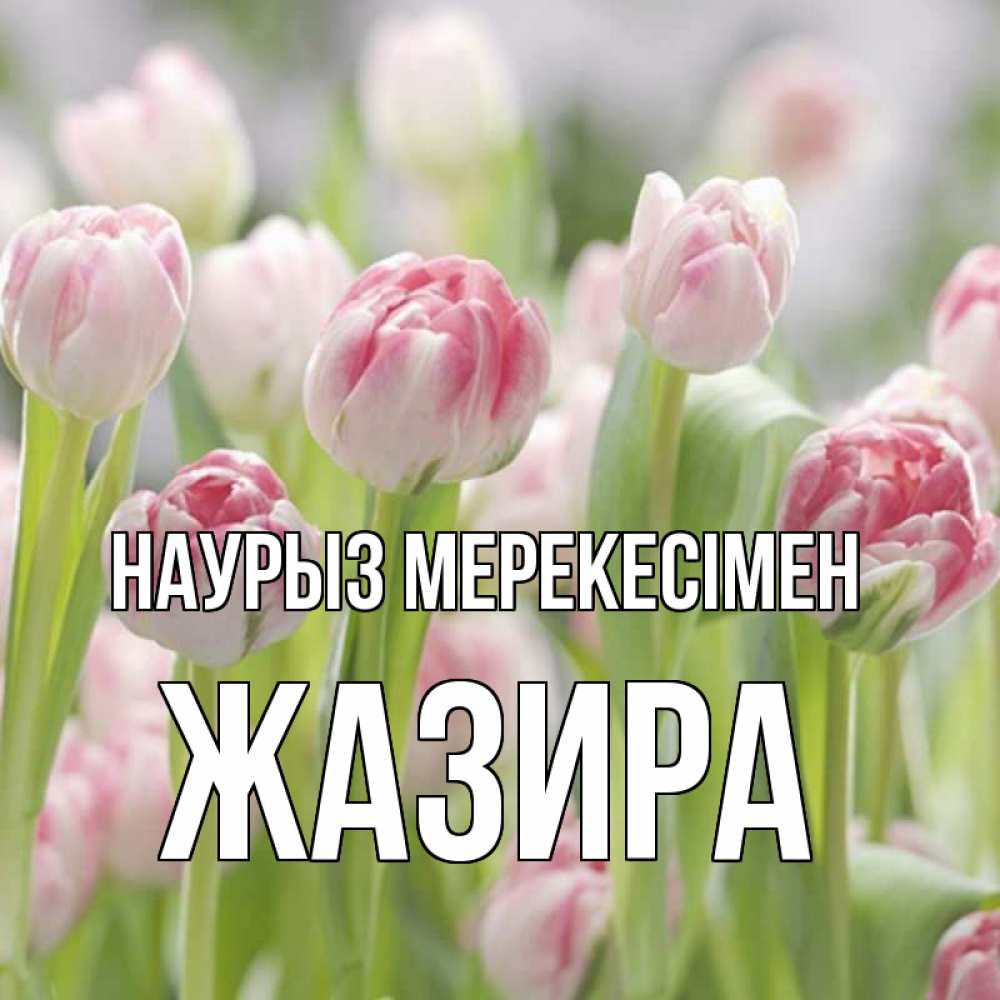 Күн сайын ашық хат с именем, ЖАЗИРА Наурыз мерекесімен цветы Онлайн тегін жүктеп алу тілектері бар керемет карта 