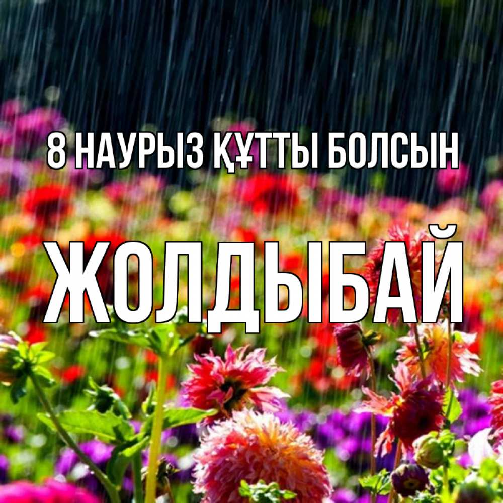 Күн сайын ашық хат с именем, Жолдыбай 8 наурыз құтты болсын цветы под дождиком к международному женскому дню Онлайн тегін жүктеп алу тілектері бар керемет карта 