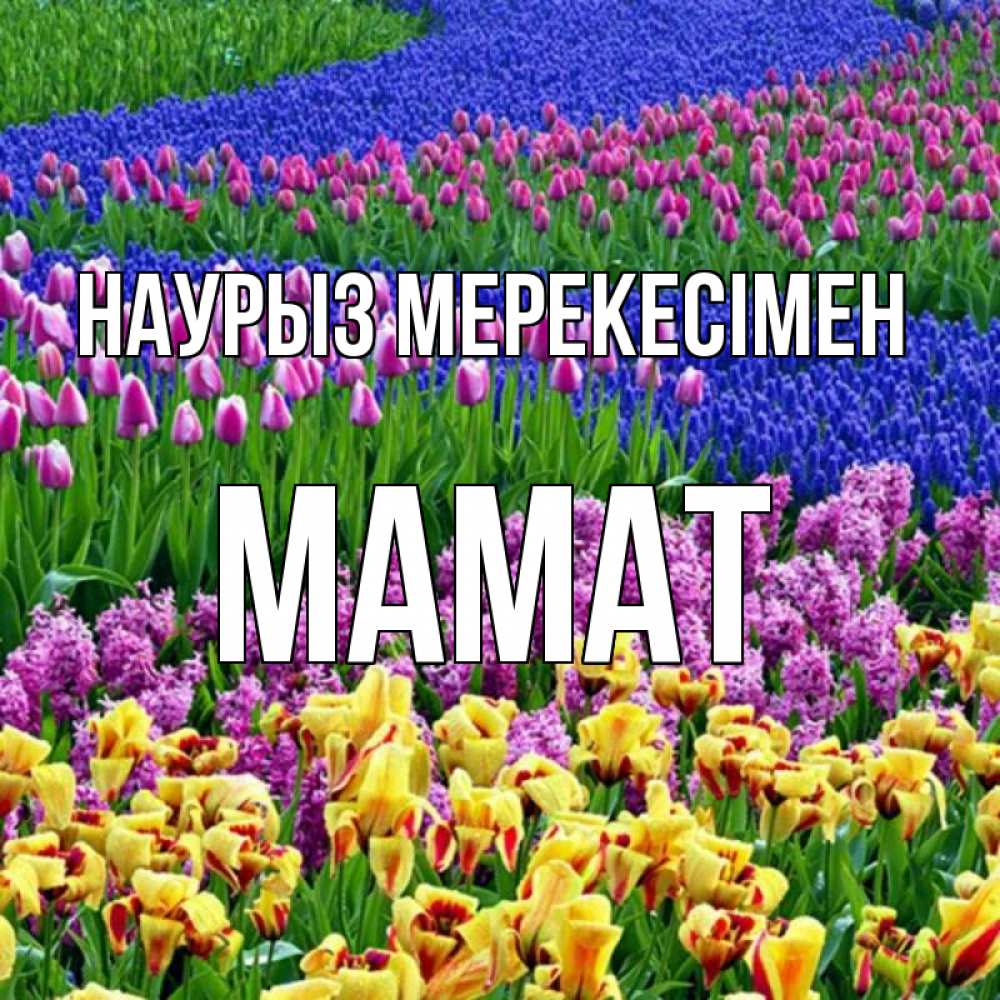 Күн сайын ашық хат с именем, МАМАТ Наурыз мерекесімен цветы Онлайн тегін жүктеп алу тілектері бар керемет карта 