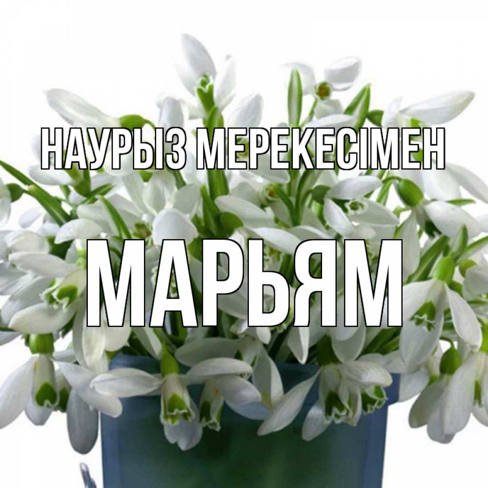 Күн сайын ашық хат с именем, Марьям Наурыз мерекесімен цветы к наурызу новый год в Казахстане Онлайн тегін жүктеп алу тілектері бар керемет карта 