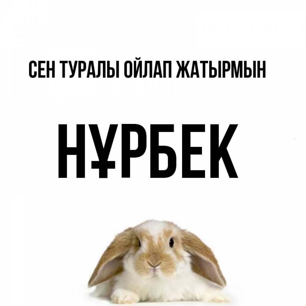 Күн сайын ашық хат с именем, НҰРБЕК Сен туралы ойлап жатырмын подписать своими руками онлайн Онлайн тегін жүктеп алу тілектері бар керемет карта 