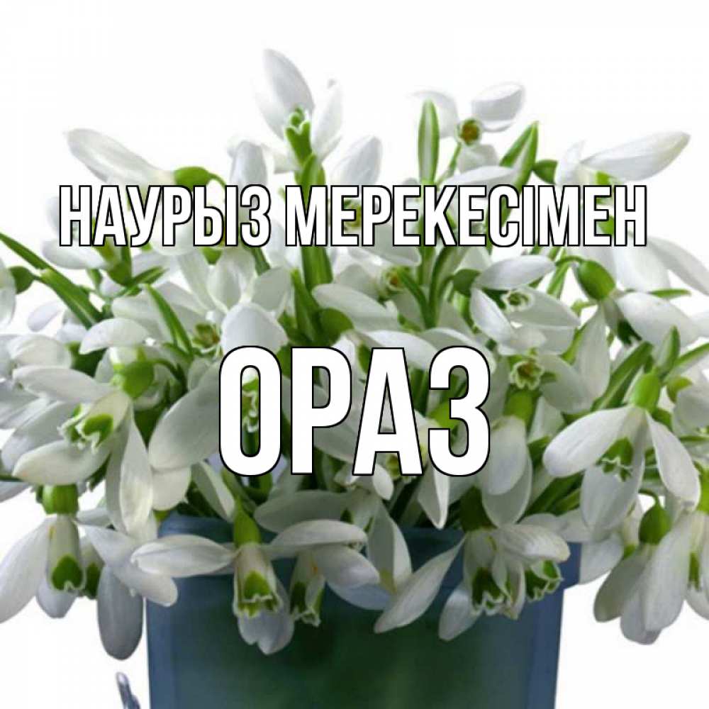 Күн сайын ашық хат с именем, ОРАЗ Наурыз мерекесімен цветы к наурызу новый год в Казахстане Онлайн тегін жүктеп алу тілектері бар керемет карта 