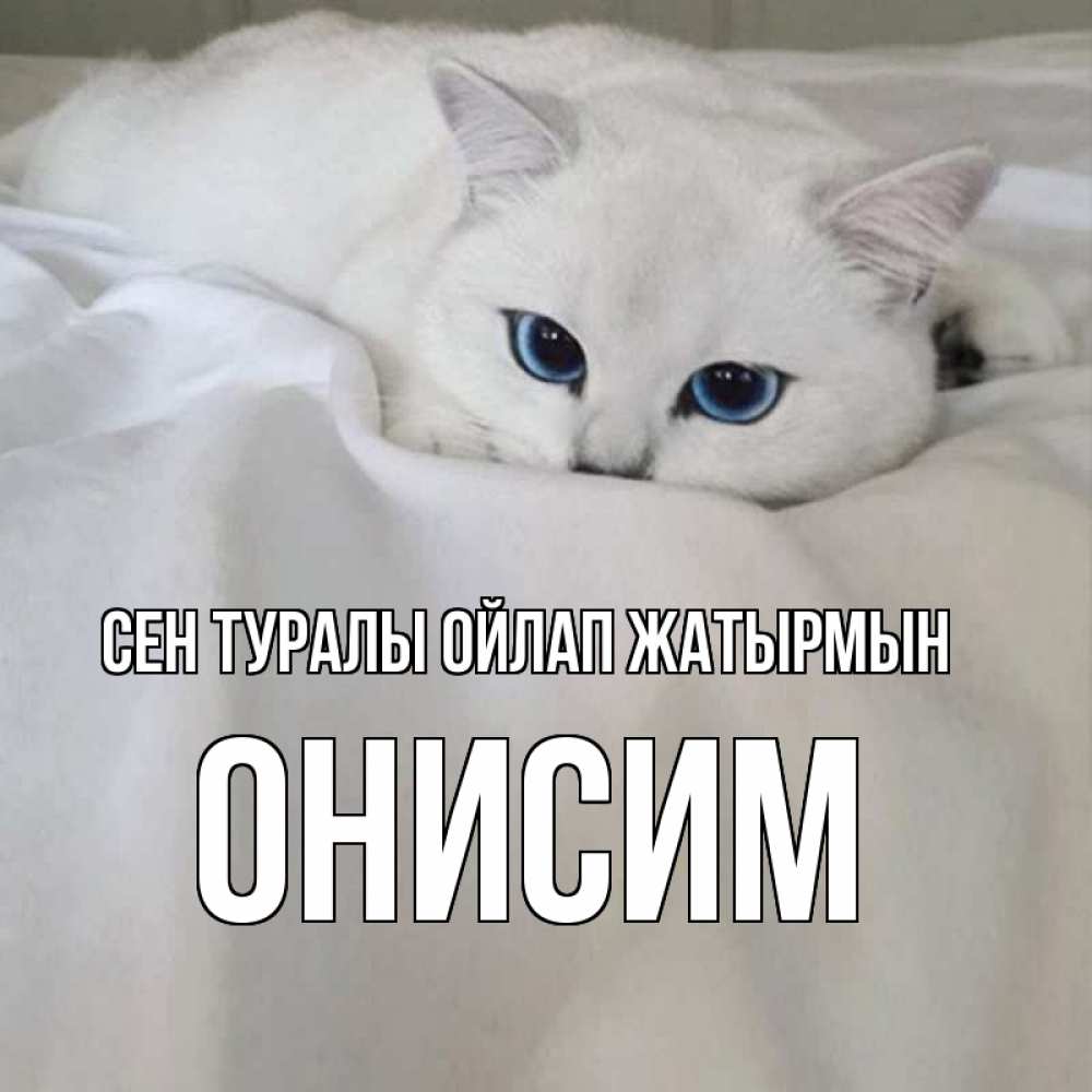 Күн сайын ашық хат с именем, Онисим Сен туралы ойлап жатырмын я очень по тебе скучаю и тоскую Онлайн тегін жүктеп алу тілектері бар керемет карта 