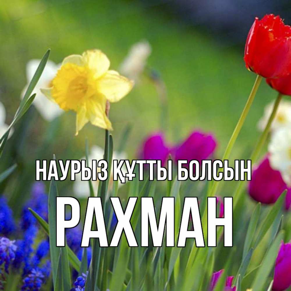 Күн сайын ашық хат с именем, РАХМАН Наурыз құтты болсын наурыз  3 открытки Онлайн тегін жүктеп алу тілектері бар керемет карта 
