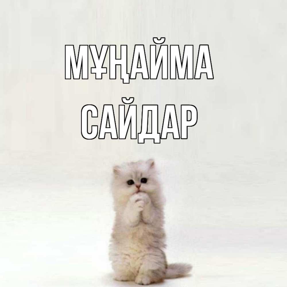 Күн сайын ашық хат с именем, САЙДАР Мұңайма грустный кот Онлайн тегін жүктеп алу тілектері бар керемет карта 