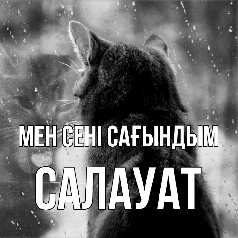 Күн сайын ашық хат с именем, САЛАУАТ Мен сені сағындым скорее ко мне приходи 1 Онлайн тегін жүктеп алу тілектері бар керемет карта 