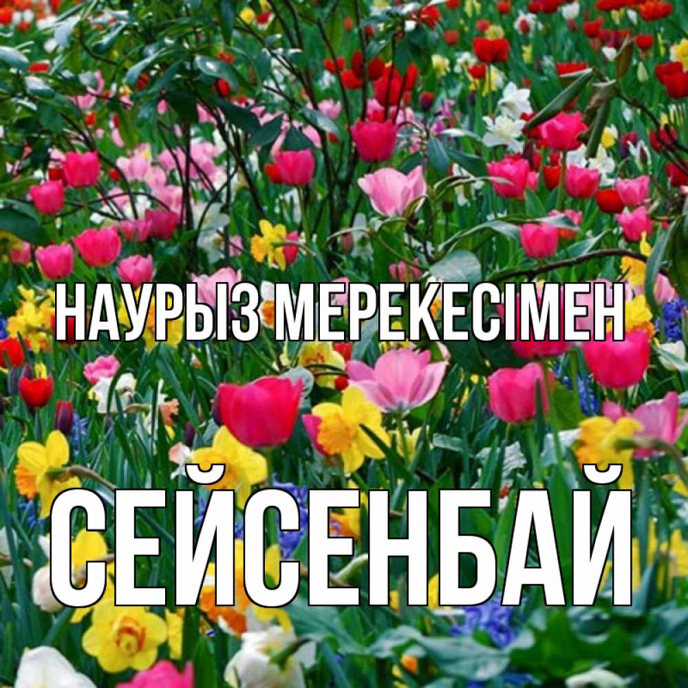 Күн сайын ашық хат с именем, СЕЙСЕНБАЙ Наурыз мерекесімен с наурызом праздником весны поздравления для женщины Онлайн тегін жүктеп алу тілектері бар керемет карта 