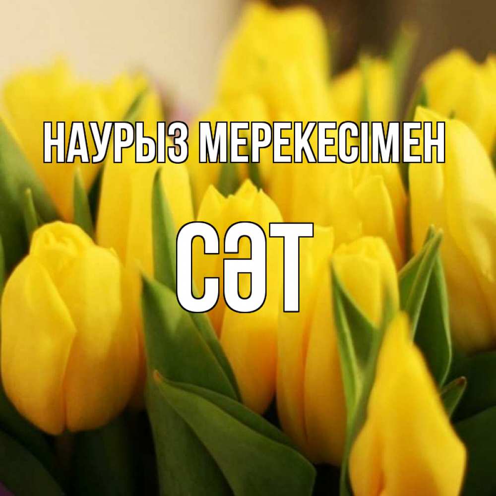 Күн сайын ашық хат с именем, СӘТ Наурыз мерекесімен цветы Онлайн тегін жүктеп алу тілектері бар керемет карта 