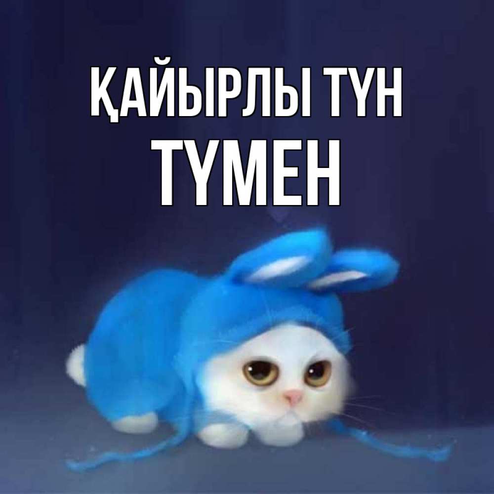Күн сайын ашық хат с именем, ТҮМЕН Қайырлы түн кот в голубом костюме кролика с ушками Онлайн тегін жүктеп алу тілектері бар керемет карта 