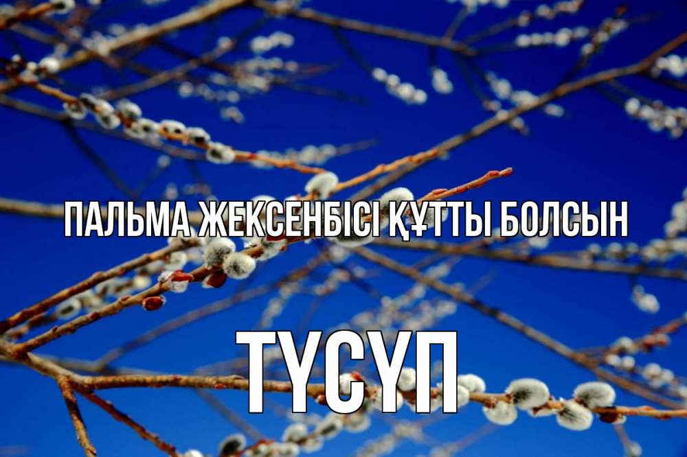 Күн сайын ашық хат с именем, ТҮСҮП Пальма жексенбісі құтты болсын верба Онлайн тегін жүктеп алу тілектері бар керемет карта 