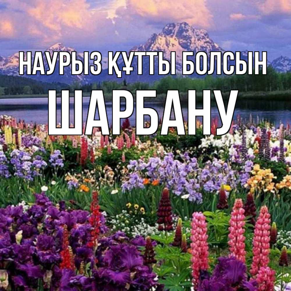 Күн сайын ашық хат с именем, ШАРБАНУ Наурыз құтты болсын наурыз Онлайн тегін жүктеп алу тілектері бар керемет карта 